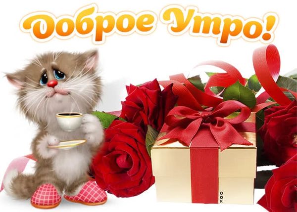 Выиграть автомобиль за вакцинацию как правильно зарегистрировать. Смотреть фото Выиграть автомобиль за вакцинацию как правильно зарегистрировать. Смотреть картинку Выиграть автомобиль за вакцинацию как правильно зарегистрировать. Картинка про Выиграть автомобиль за вакцинацию как правильно зарегистрировать. Фото Выиграть автомобиль за вакцинацию как правильно зарегистрировать