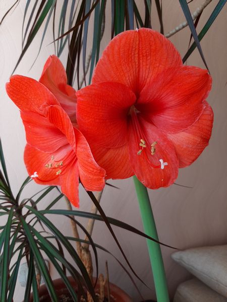 мошенники развели на кредит что делать дальше