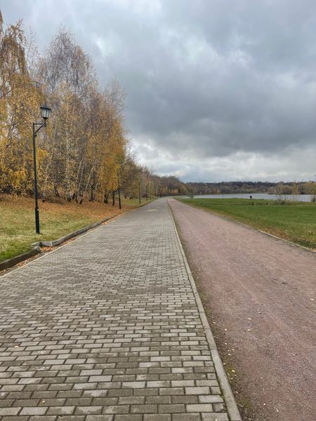 E63512A6 B72B 46B6 AEF7 мошенники развели на кредит что делать дальше